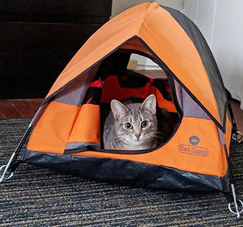 <center>澳洲 Cat Tent 貓帳篷