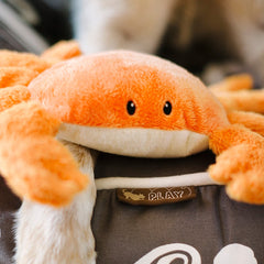 P.L.A.Y. King Crab Toy<br/>海底世界 - 螃蟹 - Shark Tank Taiwan 