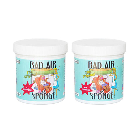 BAD AIR SPONGE Air Odor Absorbent<br/>空氣清凈劑組 (2入/組)