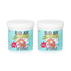 BAD AIR SPONGE Air Odor Absorbent<br/>空氣清凈劑組 (2入/組)
