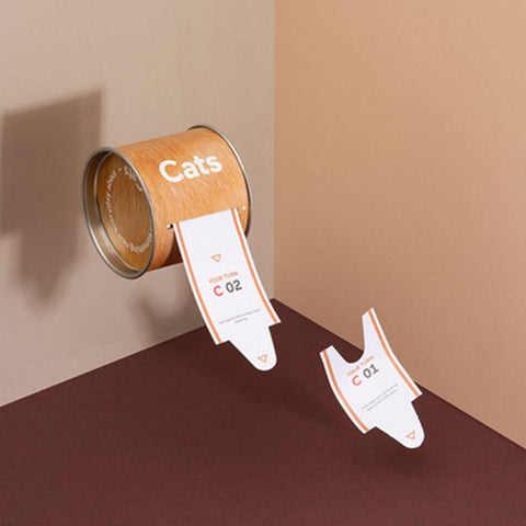 DOIY<br/>100 個你得知道的 - 貓知識