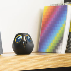 ULO<br/>貓頭鷹智慧監視攝影機