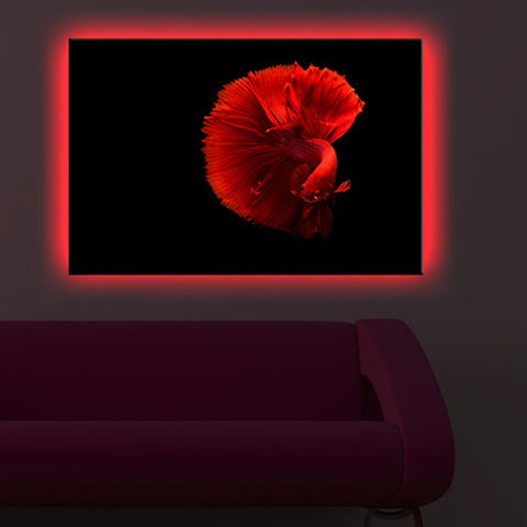 SMRT Home<BR/>LED 掛畫 - Betta Fish