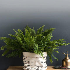 SUCK UK Plant Cover – Large<br/>盆栽帆布袋 – 大款