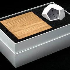 FLYTE Lyfe Planter<br/>懸浮盆栽