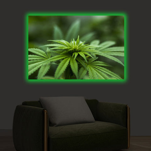 SMRT Home<BR/>LED 掛畫 - Cannabis