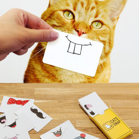 SUCK UK Cats Snap photo cards<br/>貓咪快拍卡