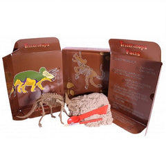 KINETIC SAND<br/>考古動力沙 - 三角龍