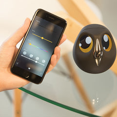 ULO<br/>貓頭鷹智慧監視攝影機