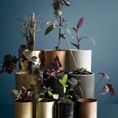 H.SKJALM P<br/>丹麥花器 - 金色 (共2款)