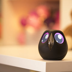 ULO<br/>貓頭鷹智慧監視攝影機