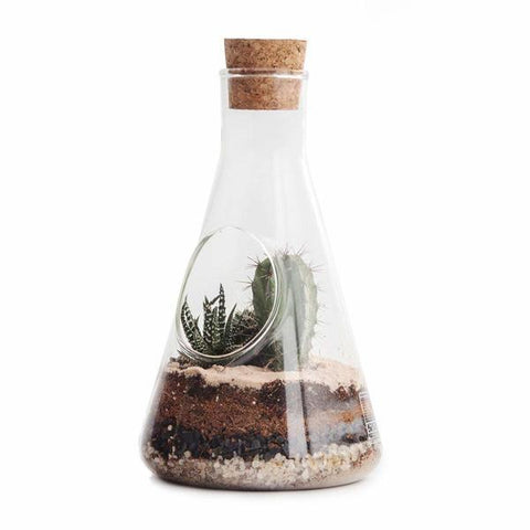 SUCK UK Chemistry Set Terrarium<BR/>玻璃三角燒杯植物盆