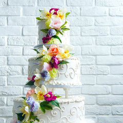 YAYiCAKE<br/>手工客製 - 假蛋糕專案