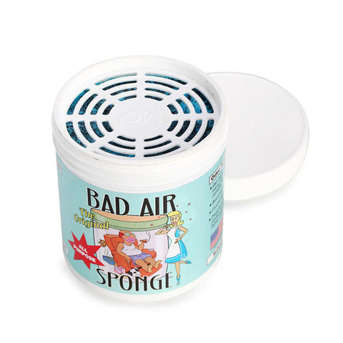 BAD AIR SPONGE Air Odor Absorbent<br/>空氣清凈劑組 (2入/組)