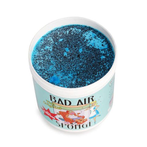 BAD AIR SPONGE Air Odor Absorbent<br/>空氣清凈劑