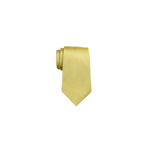 Valentino Tie 范倫鐵諾領帶 CZZPMST062 MUSTARD