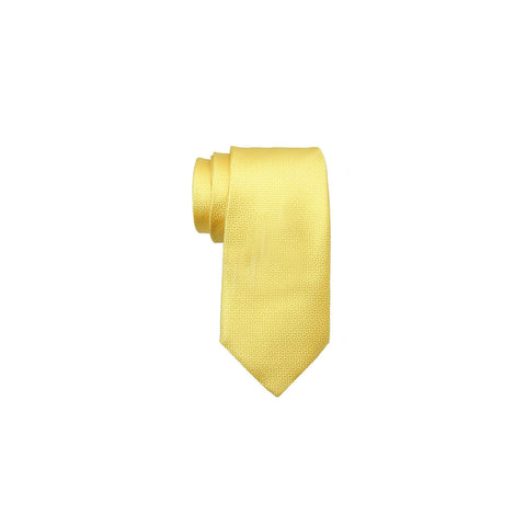 Valentino Tie 范倫鐵諾領帶 CZZSF01460 YELLOW