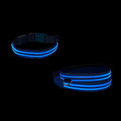 4ID LED Leash & Collar Bundle<br/>LED 發光狗鍊 + 發光項圈 (共3色)