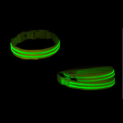 4ID LED Leash & Collar Bundle<br/>LED 發光狗鍊 + 發光項圈 (共3色)