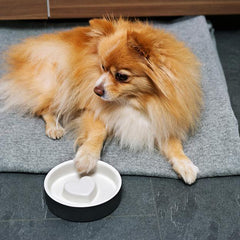 HAPPY PET PROJECT Slow Feed Pet Bowl<br/>寵物健康慢食碗 - 小 (共3色)