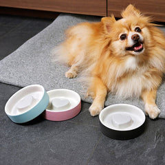 HAPPY PET PROJECT Slow Feed Pet Bowl<br/>寵物健康慢食碗 - 小 (共3色)