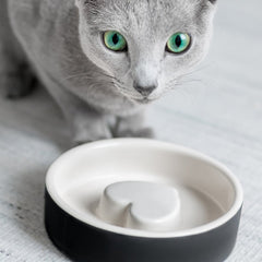 HAPPY PET PROJECT Slow Feed Pet Bowl<br/>寵物健康慢食碗 - 小 (共3色)