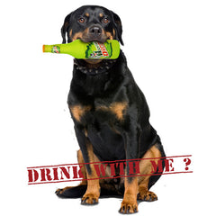 SILLY SQUEAKER Beer Bottle Barks - Mountain Drool<br/>萊姆啤酒咬咬玩具 - Shark Tank Taiwan 