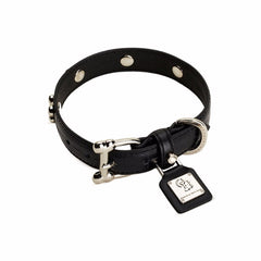 Chrome Bones - Forever Bones Python Collar / Black - Shark Tank Taiwan 