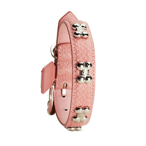Chrome Bones - Forever Bones Python Collar / Pink - Shark Tank Taiwan 