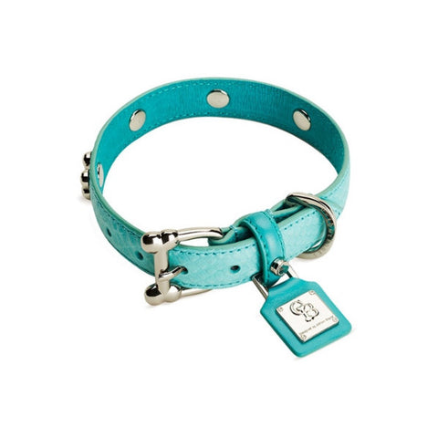 Chrome Bones - Forever Bones Python Collar / Turquoise - Shark Tank Taiwan 