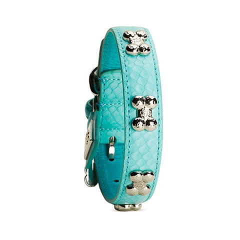 Chrome Bones - Forever Bones Python Collar / Turquoise - Shark Tank Taiwan 