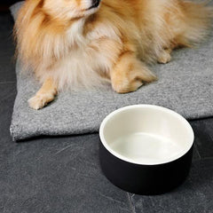 HAPPY PET PROJECT Cooling Water Bowl<br/>寵物保冷水碗 - 中 (共3色)