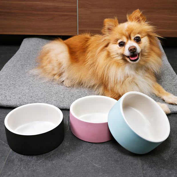 HAPPY PET PROJECT Cooling Water Bowl<br/>寵物保冷水碗 - 中 (共3色)