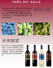 Bodegas Peña Del Valle </br> SPECIAL SELECTION  2011 Pack of Six (6瓶裝) - Shark Tank Taiwan 